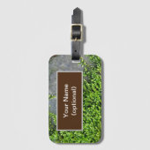 Étiquette À Bagage Mousse verte Entodon séductrix sur pierre grise (Devant Vertical)