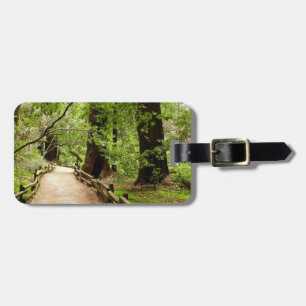 Étiquette À Bagage Muir Woods Path II Nature Photography