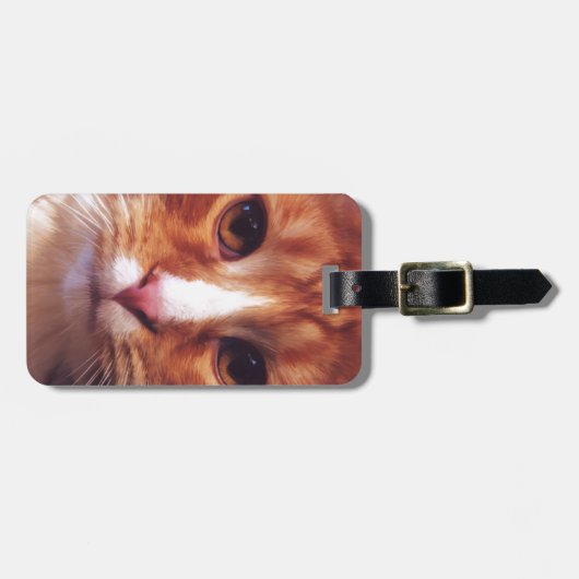Étiquette À Bagage Murphy l'Orange Tabby Cat (Devant horizontal)