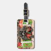 Étiquette À Bagage Noël - caniche de jouet - Annie (Devant Vertical)