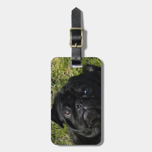 Étiquette À Bagage noir de carlin (Devant Vertical)