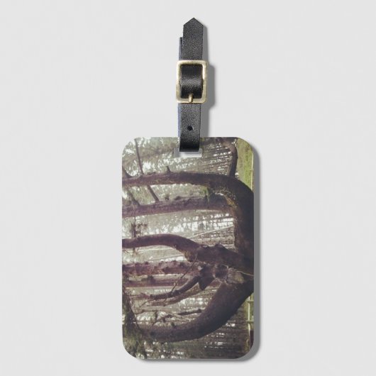 Étiquette À Bagage Octopus Tree, Cape Meares, Oregon (Devant Vertical)