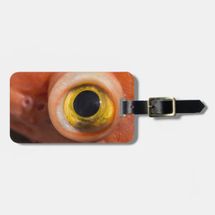 Étiquette À Bagage Oeil de sébaste