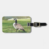 Étiquette À Bagage Oie au bord de mer, animaux de faune, nature (Devant horizontal)