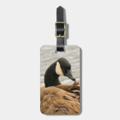 Étiquette À Bagage Oie du Canada sur le lac (Devant Vertical)