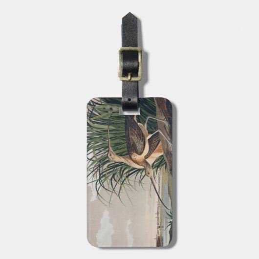 Étiquette À Bagage Oiseau de Courlis à long bec Audubon (Devant Vertical)