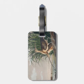 Étiquette À Bagage Oiseau de Courlis à long bec Audubon (Dos Vertical)