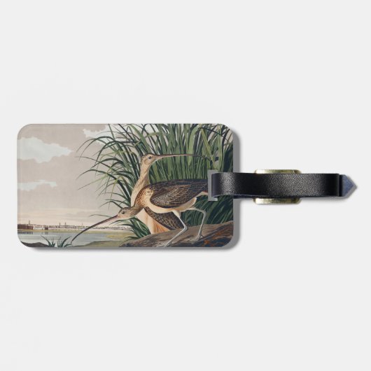 Étiquette À Bagage Oiseau de Courlis à long bec Audubon (Dos horizontal)