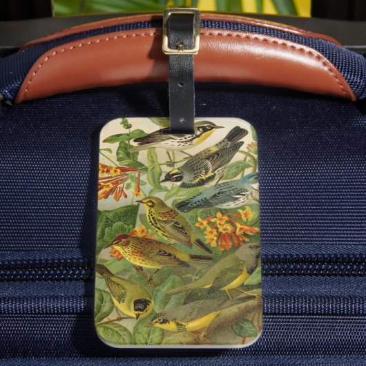 Étiquette À Bagage Oiseaux nord-américains | Tzel Gustav Mü (Insitu Rectoal 2)