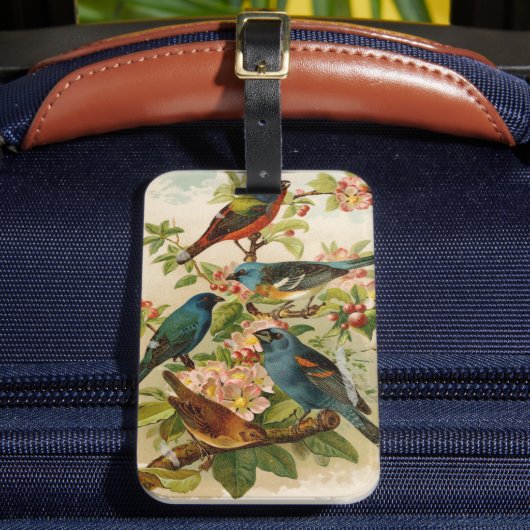 Étiquette À Bagage Oiseaux nord-américains | Tzel Gustav Mü (Insitu Rectoal 2)