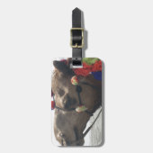 Étiquette À Bagage Oman Mascate Photo Art (Devant Vertical)