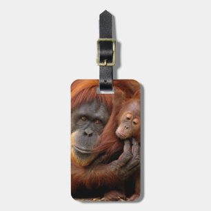 Étiquette À Bagage Orang-outan de mère et de bébé
