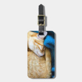 Étiquette À Bagage Orange curled up (Devant Vertical)