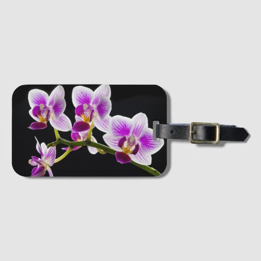 Étiquette À Bagage Orchidée blanche et violette (Devant Horizontal)