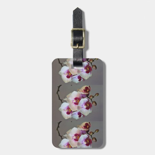 Étiquette À Bagage Orchidée miniature (Devant Vertical)