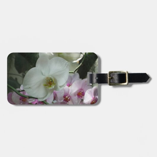 Étiquette À Bagage Orchidées blanches et violettes (Devant horizontal)