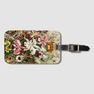 Étiquette À Bagage Orchidées, Orchidée Denusblumen Ernst Haeckel