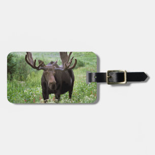 Étiquette À Bagage Orignal mâle (Alces alces) dans les fleurs sauvage