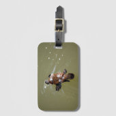 ÉTIQUETTE À BAGAGE ORNITHORYNQUE ET LIBELLULE EUNGELLA QUEENSLAND (Devant Vertical)