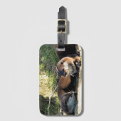 ÉTIQUETTE À BAGAGE OTTERS (Devant Vertical)