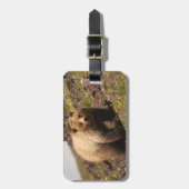 Étiquette À Bagage ours (Devant Vertical)