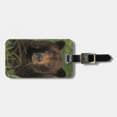 Étiquette À Bagage ours brun, arctos d'Ursus, ours gris, Ursus 9 (Devant horizontal)