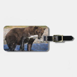 Étiquette À Bagage Ours brun, grizzly, avec prise de saumon,