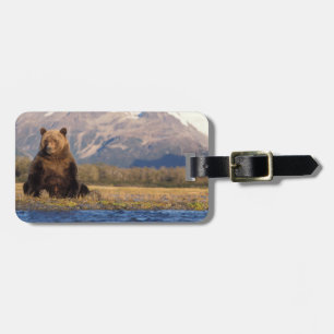 Étiquette À Bagage ours brun, Ursus arctos, grizzly, Ursus