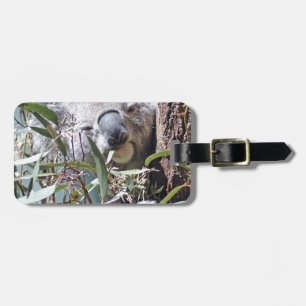 Étiquette À Bagage Ours de koala