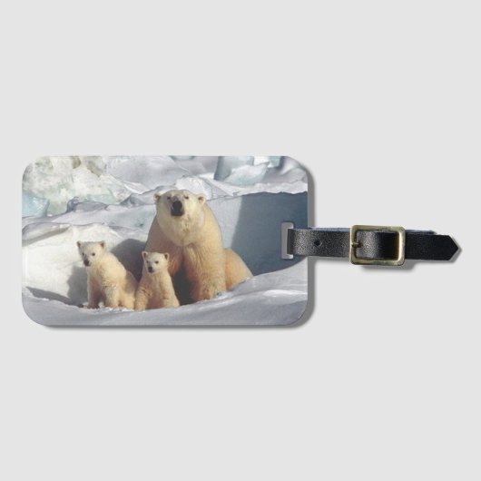 Étiquette À Bagage Ours polaires (Devant Horizontal)