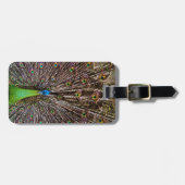 Étiquette À Bagage Pacock (Devant horizontal)