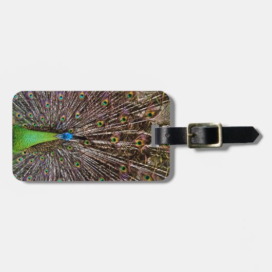 Étiquette À Bagage Pacock (Devant horizontal)