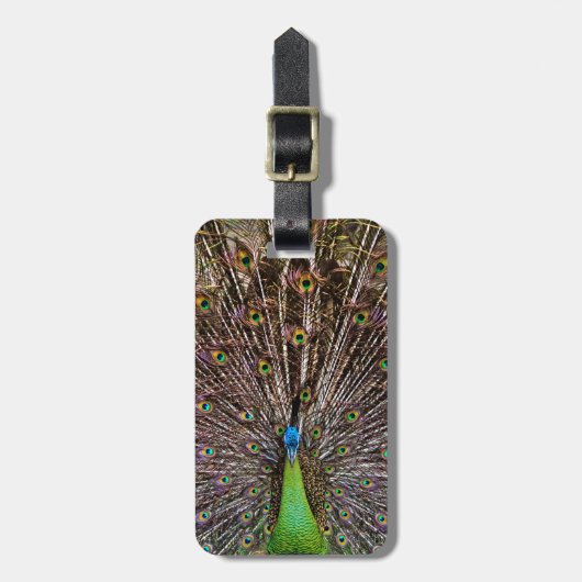 Étiquette À Bagage Pacock (Devant Vertical)