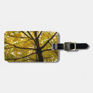 Étiquette À Bagage Paire d'érables jaunes Automne Nature
