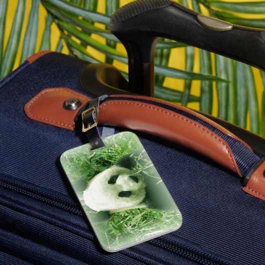 Étiquette À Bagage Panda (Insitu Rectoal 1)