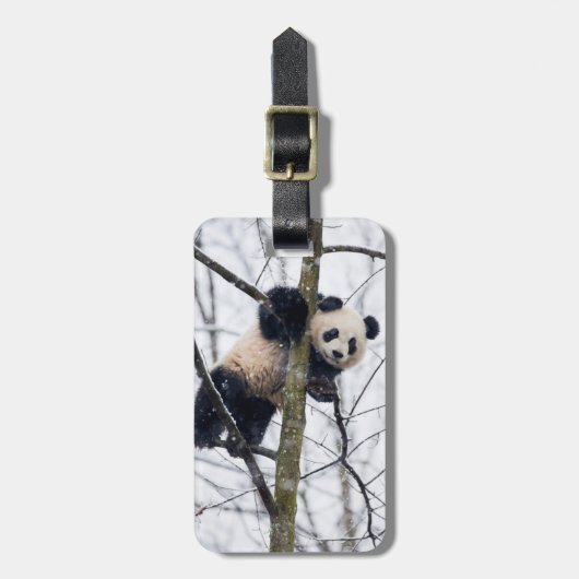 Étiquette À Bagage Panda bébé dans l'arbre (Devant Vertical)