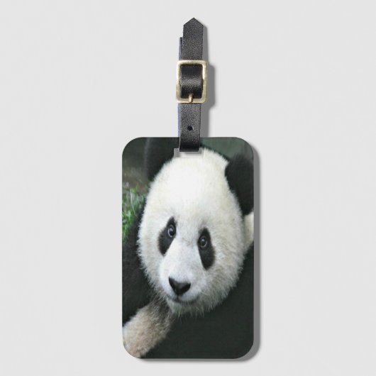 Étiquette À Bagage Panda géant dans une herbe verte douce (Devant Vertical)