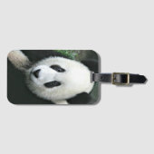 Étiquette À Bagage Panda géant dans une herbe verte douce (Devant Horizontal)