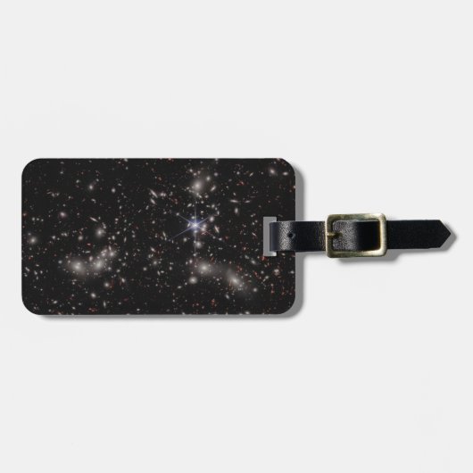 Étiquette À Bagage Pandora's Cluster (Devant horizontal)