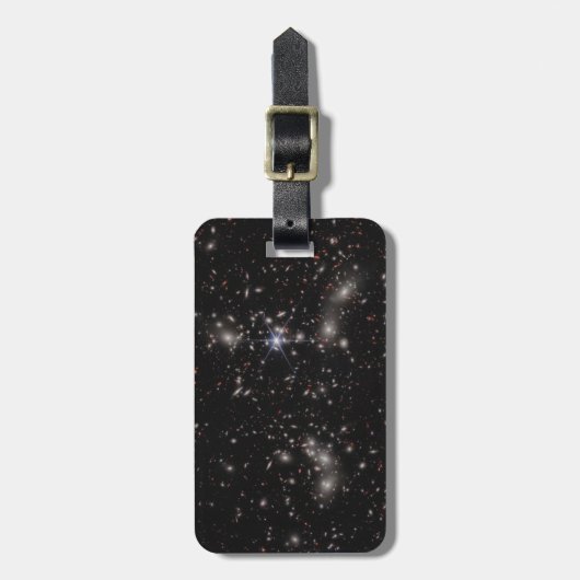 Étiquette À Bagage Pandora's Cluster (Devant Vertical)