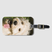 Étiquette À Bagage Panneaux de coquelicot de Goldendoodle (Devant Horizontal)