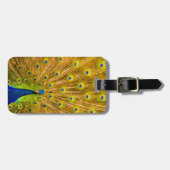 Étiquette À Bagage Paon, Silver Falls, Kauai, Hawaï (Devant horizontal)