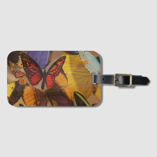 Étiquette À Bagage Papillon bordeaux violet abstrait de printemps