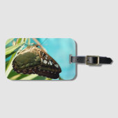 Étiquette À Bagage Papillon Brown - Ailes fermées (Devant Horizontal)