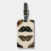 Papillon coloré Medley sur Arrière - plan de crème