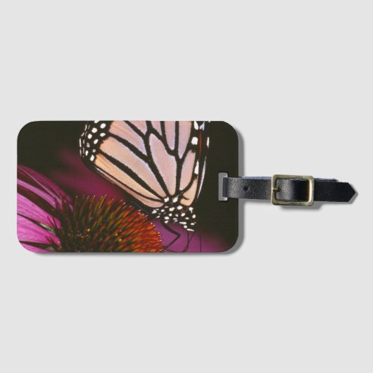 Étiquette À Bagage Papillon de monarque et fleur pourpre (Devant Horizontal)