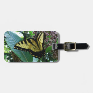 Étiquette À Bagage Papillon Swallowtail I sur Asclépiade à Shenandoah