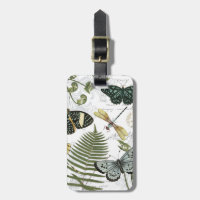 papillons vintages et libellules modernes