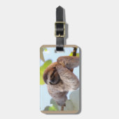 Étiquette À Bagage Paresse se reposant sur la branche d'arbre (Devant Vertical)