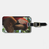 Étiquette À Bagage Parrot Macaw Scarlet Manger Toast (Devant horizontal)